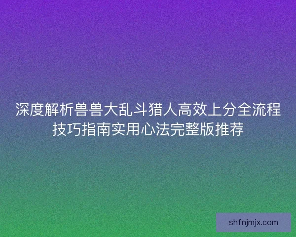 深度解析兽兽大乱斗猎人高效上分全流程技巧指南实用心法完整版推荐